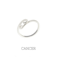 Zodiac Horoscope Rings - 70% off!
